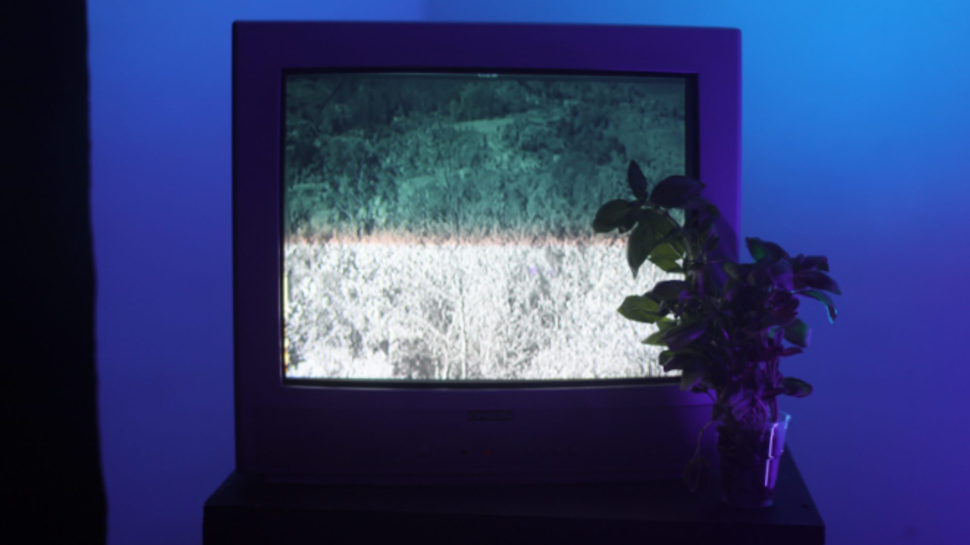 DOR 360 — Room view