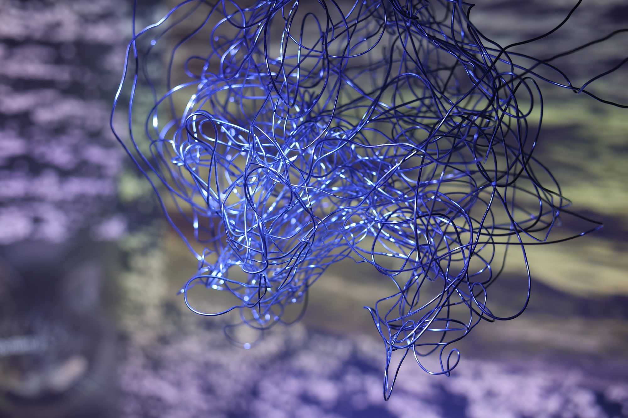 EXPERIENCES — Interaction