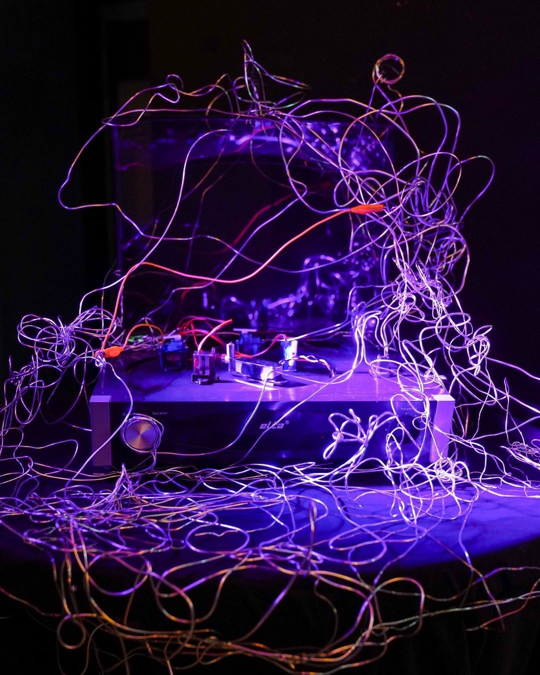 THE SYSTEM PREFERS SILENCE — the wire resonator and amplifier, UV-lit